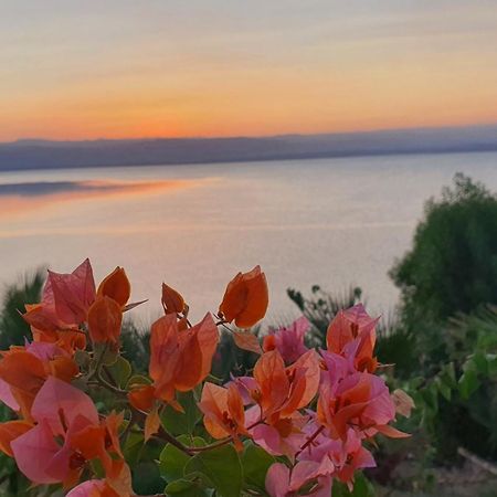 Comfy Stays Sea View Apartments At Deadsea Samarah Resort Sweimeh Exteriér fotografie
