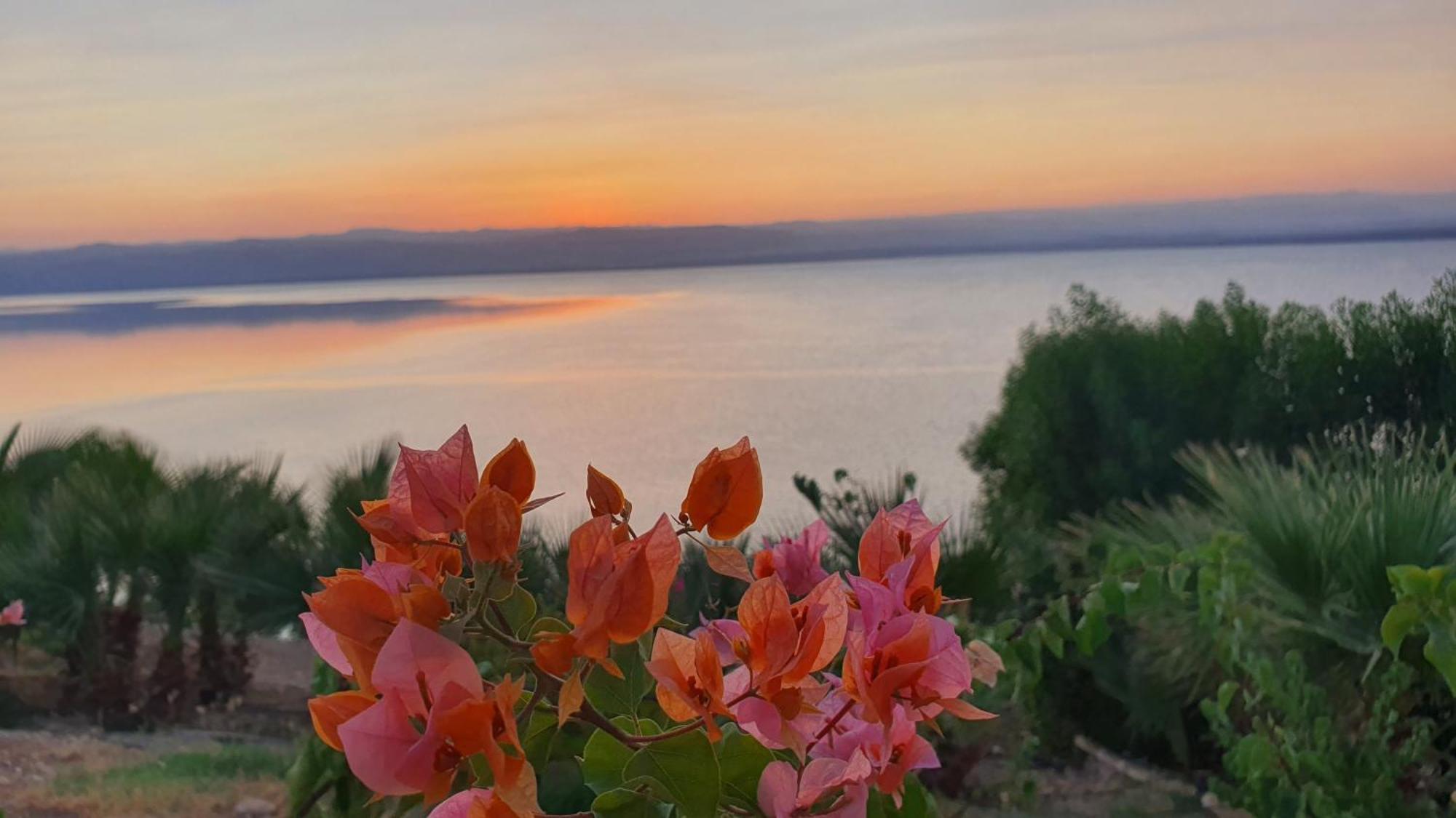 Comfy Stays Sea View Apartments At Deadsea Samarah Resort Sweimeh Exteriér fotografie