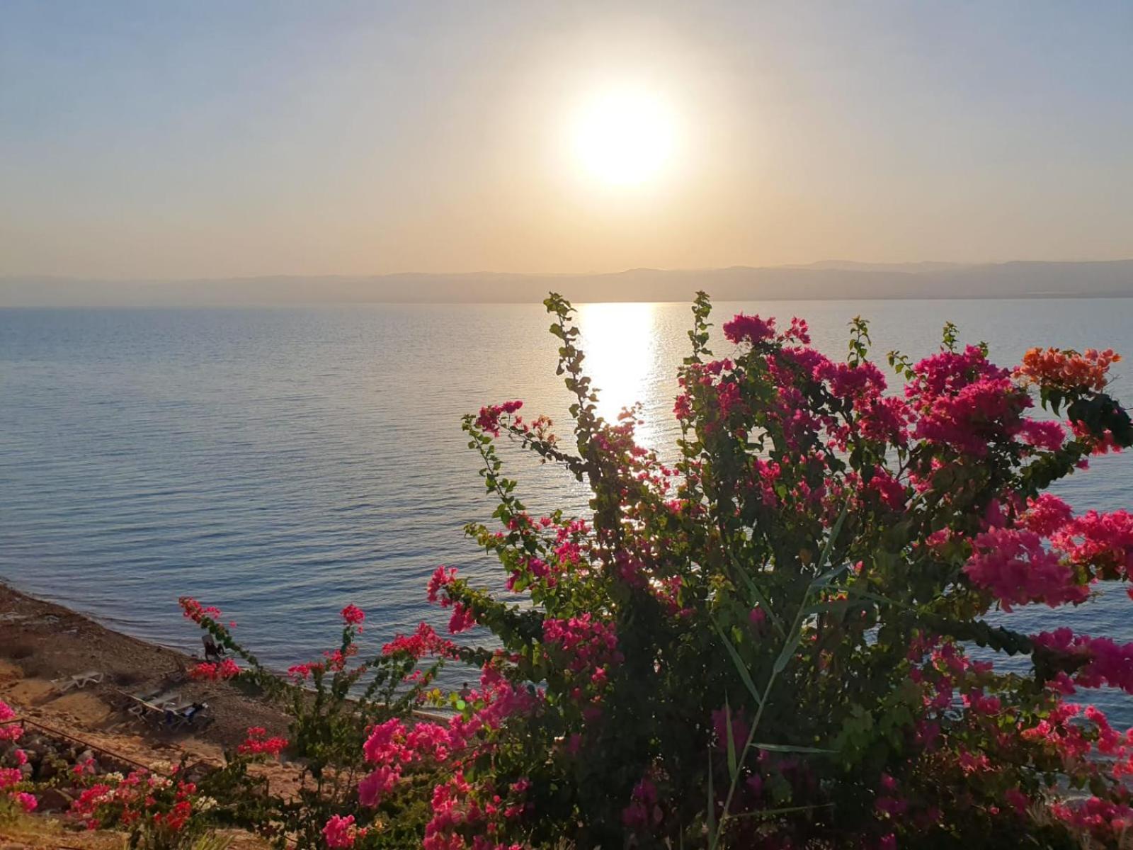 Comfy Stays Sea View Apartments At Deadsea Samarah Resort Sweimeh Exteriér fotografie